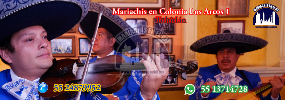Mariachis en Colonia Solidaridad